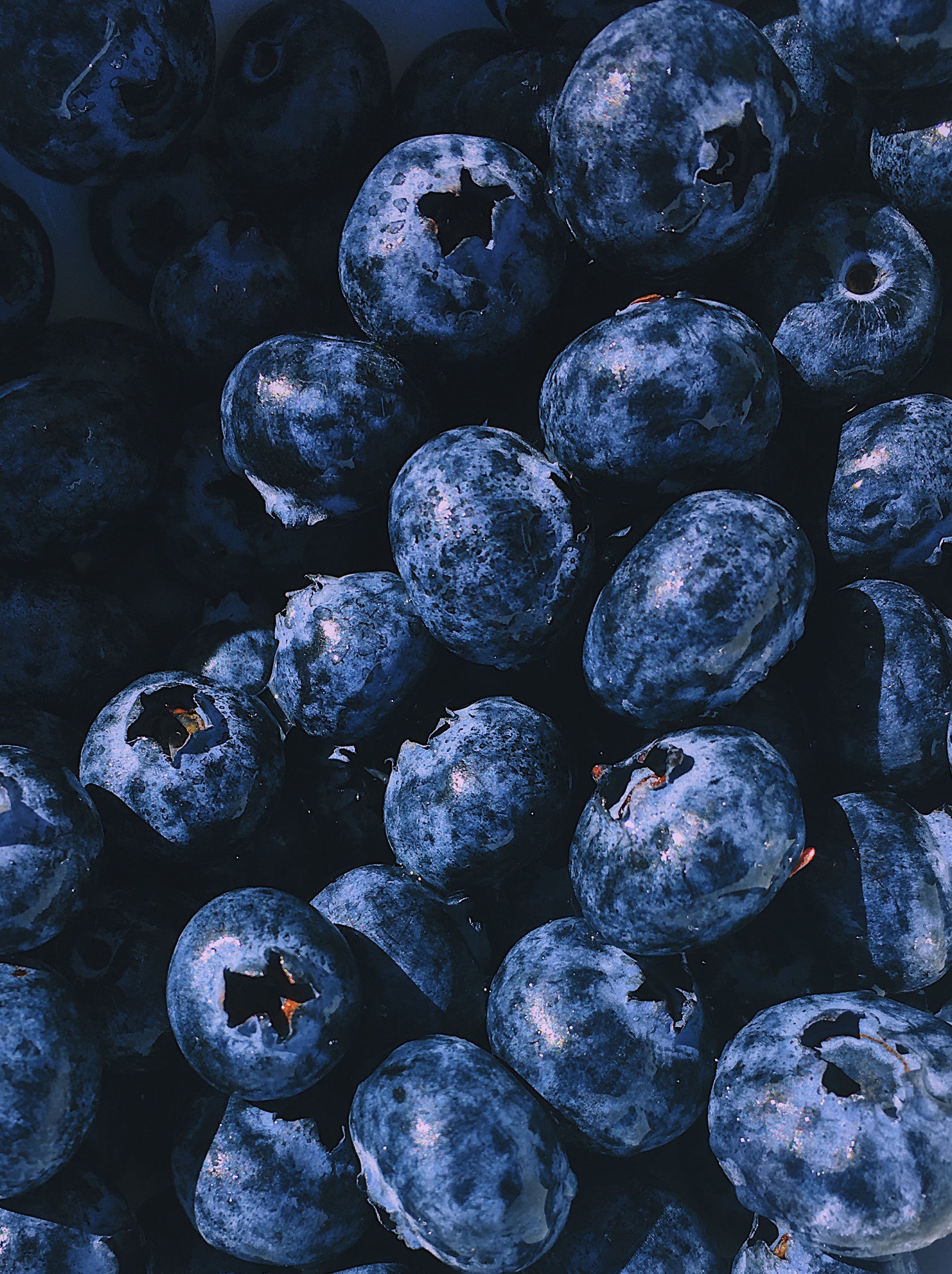 Closeup Photography Blueberry Fruits